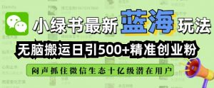 小绿书无脑搬运引流，全自动日引500精准创业粉，微信生态内又一个闷声发财的机会-康仁安网创