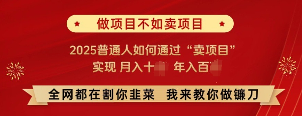 必看,做项目不如卖项目,2025普通人如何通过“卖项目”实现月入十个,年入百个-康仁安网创