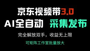 京东视频带货3.0,Ai全自动采集+自动发布,完全解放双手,收入无上限...-康仁安网创