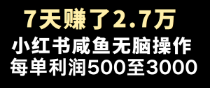 全网首发,7天赚了2.6万,2025利润超级高!-康仁安网创