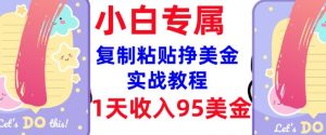 复制粘贴挣美金，0门槛，1天收入95美刀，3分钟学会，内部教程(首次公开)-康仁安网创