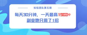 副业她只用了1招，每天30分钟，无脑二创，一天最高1.5k-康仁安网创