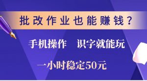 批改作业也能赚钱?0门槛手机项目,识字就能玩!一小时稳定50元!-康仁安网创