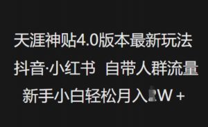 天涯神贴4.0版本最新玩法,抖音·小红书自带人群流量,新手小白轻松月入过W-康仁安网创