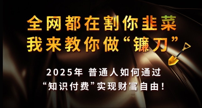 全网都在割你韭菜,我来教你做镰刀,2025年普通人如何通过 知识付费 实现财F自由【揭秘】-康仁安网创