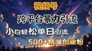 跨平台暴力引流,私域完美闭环,日引500+精准创业粉-康仁安网创