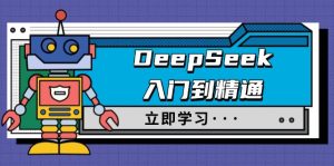 DeepSeek入门到精通，涵盖职场应用及身份扮演，驯服指南及顶级提示词-康仁安网创