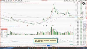 大师兄·鹿鼎山系列内部课程(更新2025年1月)-康仁安网创