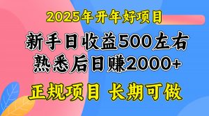 2025开年好项目,单号日收益2000左右-康仁安网创