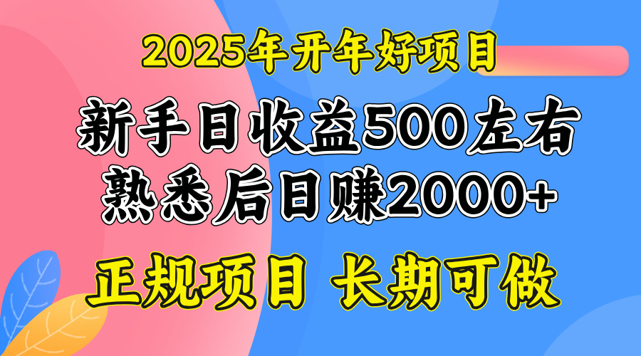 2025开年好项目,单号日收益2000左右-康仁安网创