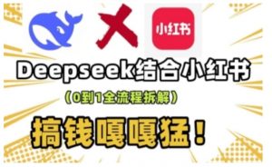 deepseek+小红书打造流量生产线实操课，0到1全流程拆解，搞钱嘎嘎猛-康仁安网创