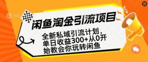 闲鱼淘金私域引流计划，从0开始玩转闲鱼，副业也可以挣到全职的工资-康仁安网创