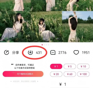 最新图虫搬运项目,收益无上限,利用AI小白也可日赚500+-康仁安网创