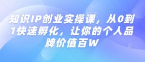 知识IP创业实操课,从0到1快速孵化,让你的个人品牌价值百W-康仁安网创