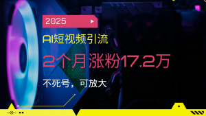 2025AI短视频引流，2个月涨粉17.2万，不死号，可放大-康仁安网创