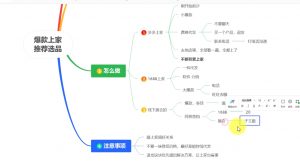 苏博士·淘宝精细化铺货运营陪跑(部分更新至2025)-康仁安网创