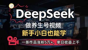 小白用DeepSeek做养生号，一条作品涨粉5万+，单日收益上千-康仁安网创