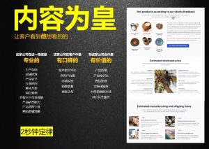 刘老师·外贸询盘增长秘籍从0到1的实战指南-康仁安网创