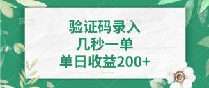 验证码录入,几秒一单,单日收益200+-康仁安网创