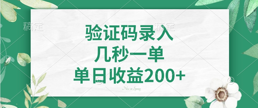 验证码录入，几秒一单，单日收益200+-康仁安网创