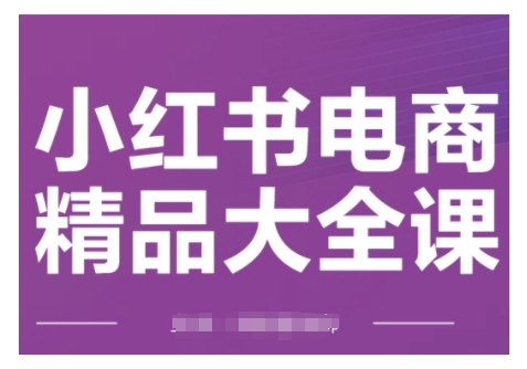 小红书电商精品大全课，快速掌握小红书运营技巧，实现精准引流与爆单目标，轻松玩转小红书电商(更新2月)-康仁安网创