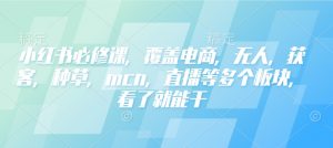 小红书必修课,覆盖电商,无人,获客,种草,mcn,直播等多个板块,看了就能干-康仁安网创