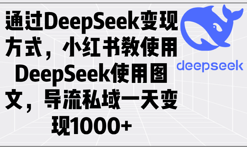 通过DeepSeek变现方式，小红书教使用DeepSeek图文，导流私域一天变现1000+-康仁安网创