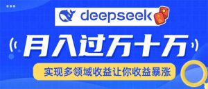 用DeepSeek席卷各大平台，快速上手实现多领域，让你收入猛增-康仁安网创