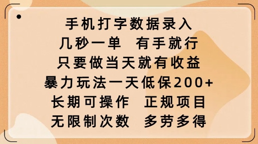 手机打字数据录入,几秒一单,有手就行,只要做当天就有收益,暴力玩法一天低保2张-康仁安网创
