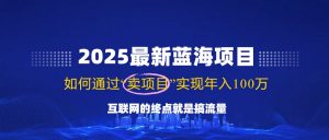 2025最新蓝海项目，零门槛轻松复制，月入10万+，新手也能操作！-康仁安网创