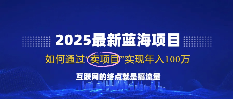 2025最新蓝海项目，零门槛轻松复制，月入10万+，新手也能操作！-康仁安网创