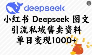 小红书Deepseek图文引流私域售卖资料,单日变现多张-康仁安网创