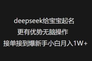 deepseek给宝宝起名更有优势无脑操作接单接到爆新手小白月入1W+-康仁安网创
