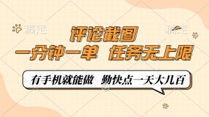 评论截图,一分钟一单,有手机就能做,任务无上限,轻松一天大几百-康仁安网创