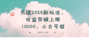 书旗2025新玩法，收益突破上限10000，小白可做-康仁安网创