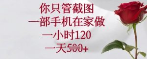 你只管截图，一部手机在家做，一小时120.一天5张【揭秘】-康仁安网创