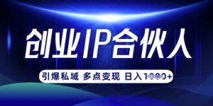 云帆·创业ip合伙人打造3.0，从0到1教你做网创，实现月入过W-康仁安网创