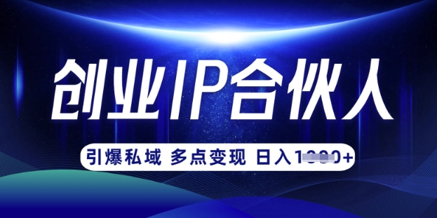 云帆·创业ip合伙人打造3.0,从0到1教你做网创,实现月入过W-康仁安网创