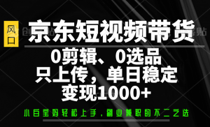 京东短视频带货，0剪辑，0选品，只上传，单日稳定变现1000+-康仁安网创