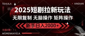 2025短剧拉新玩法，无需注册登录，无限0撸，无脑批量操作日入2000+-康仁安网创