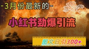 小红书超劲爆引流手段，图文日引300+轻松变现1W-康仁安网创