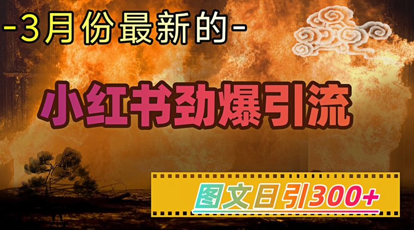 小红书超劲爆引流手段,图文日引300+轻松变现1W-康仁安网创