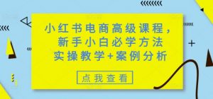 小红书电商高级课程，新手小白必学方法，实操教学+案例分析-康仁安网创