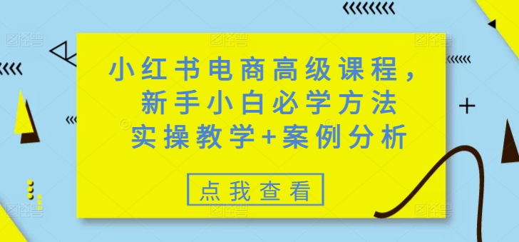 小红书电商高级课程,新手小白必学方法,实操教学+案例分析-康仁安网创