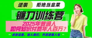 镰刀训练营超级IP合伙人，25年普通人如何通过“知识付费”实现逆袭-康仁安网创