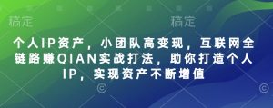 个人IP资产,小团队高变现,互联网全链路赚QIAN实战打法,助你打造个人IP,实现资产不断增值-康仁安网创