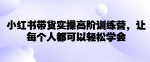 小红书带货实操高阶训练营，让每个人都可以轻松学会-康仁安网创