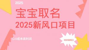 2025新风口项目宝宝取名，0成本高利润，附保姆级教程，月入过万不是梦-康仁安网创