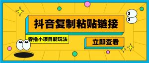 零撸小项目，新玩法，抖音复制链接0.07一条，20秒一条，无限制。-康仁安网创