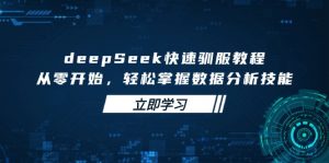 deepSeek快速驯服教程，从零开始，轻松掌握数据分析技能-康仁安网创